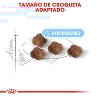رويال كانين مذر&بيبي كات2كيلو