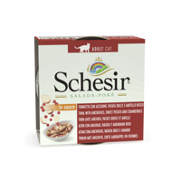 اكل قطط رطب معلب شيزر سلطة تونة بالصلصة مع الانشوج...