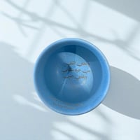 كوبين موطن الأزهار