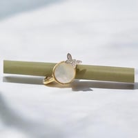 خاتم فراشة أنيق اللون ذهبي (R151) .