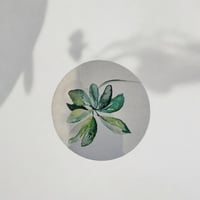 كوب فاخر أخضر ( سيفين ونخلة )حفر بالليزر (CUP24)