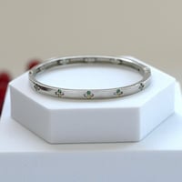 أسورة أنيقة باللون الفضي- الأخضر (B890).