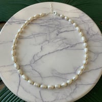 سلسال لولو زراعي