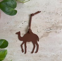 تعليقة جلد ناقة