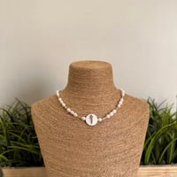 سلسال لولو الزراعي