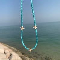 سلسال سماوي مع نجم البحر