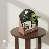 هدية الغصن الساحر