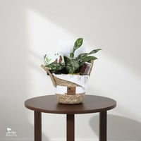 هدية الأوراق المنقوشة