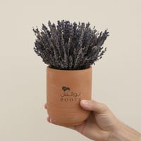 اللافندر الطبيعي المجفف مناسبة للمطبخ