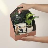 هدية الغصن الساحر