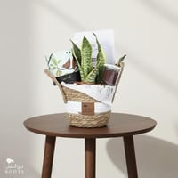 هدية السيف الناعم