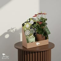 هارموني قولد