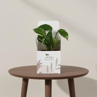 إهداءات مودرن - بوتس