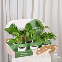 بوكس احلى الجمعات