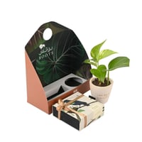 هدية الغصن الساحر