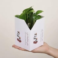 بوتس مكتبي خلي مكتبك حي