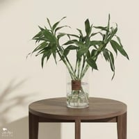 جمال البامبو