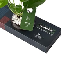 توزيعات مكاتب لليوم الوطني