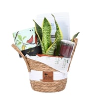 هدية السيف الناعم