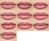 Option B Perfect Match Automatic lip liner