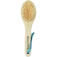 فرشاة وحجر الجسم ايكو تولس