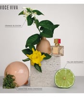 عطر فالنتينو فوتشي فيفا النسائي او دو بارفيوم 100م...