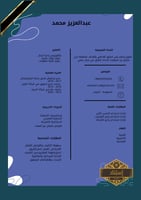 سيرة ذاتية إحترافية