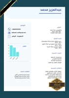 سيرة ذاتية إحترافية