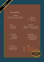 سيرة ذاتية إحترافية