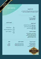 سيرة ذاتية إحترافية