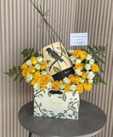 تنسيق انوش تشوكلت