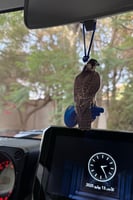 تعليقة اكريلك برسمة حسب الطلب