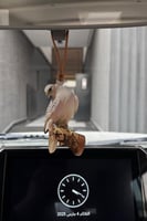 تعليقة اكريلك برسمة حسب الطلب