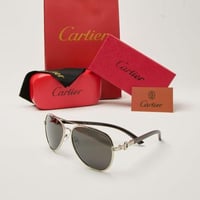 نظارة شمسية كارتير اسود كلاسيك شكل بيضاوي 2025