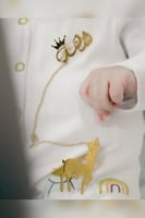 بروش الغزال بالاسم