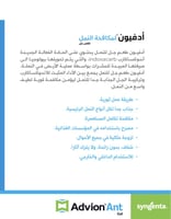 عبوة من جل النمل الأصلي (أربع إبر) صناعة أمريكية....