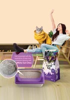 رمل قطط كلير كات بلانكو