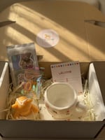 بوكس الشتاء