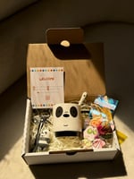 بوكس الدببا الثلاثة