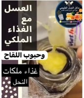 عسل سدر مع غذاء ملكات النحل وحبوب اللقاح