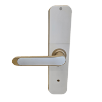 قفل باب ذكي Go