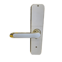 قفل باب ذكي Go