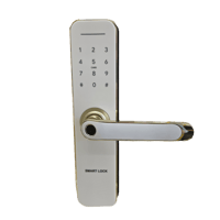 قفل باب ذكي Go