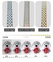 صندوق تصوير حجم 75 في 75 من دبل شوت