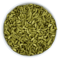 هيل امريكي رقم 3