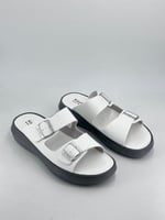 سليبر كيبون