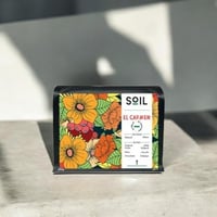 سلفادور ال كارمن سويل | El Carmen