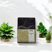 اثيوبيا شلشلي - سويل | Chelchele