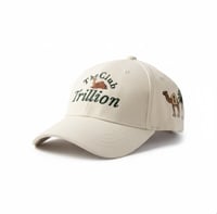 بوكس 3 كابات