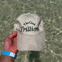 Beige Palm Limited Edition